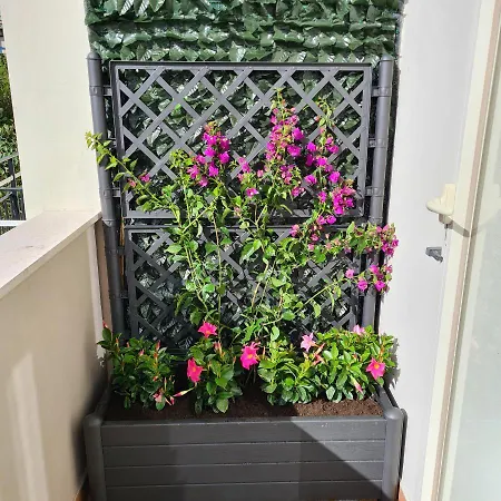 Maison Flavia Apartament *