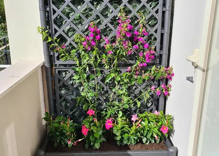 Maison Flavia Апартаменты *