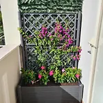 Maison Flavia Appartement *